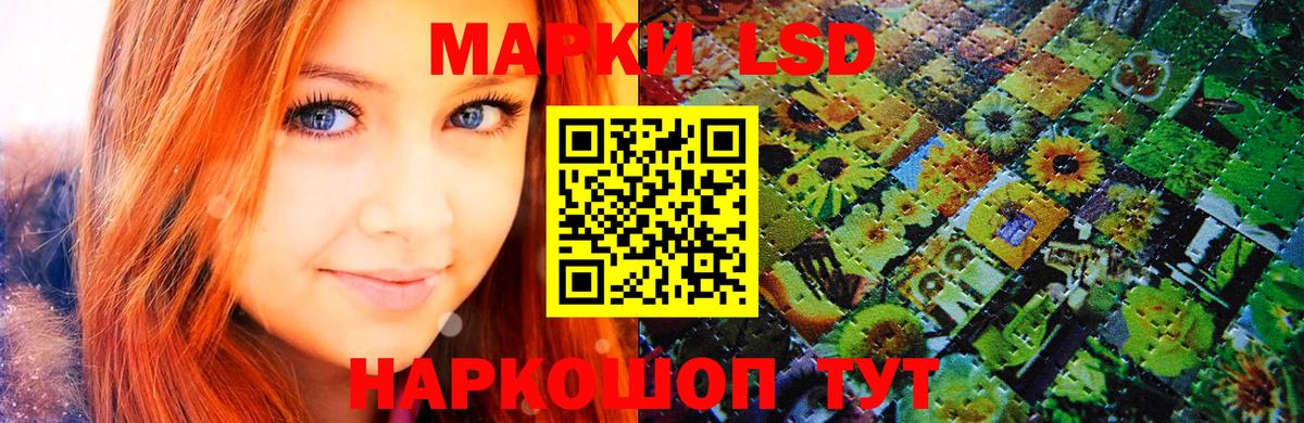 Галлюциногенные грибы Карпинск